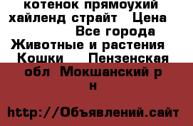 котенок прямоухий  хайленд страйт › Цена ­ 10 000 - Все города Животные и растения » Кошки   . Пензенская обл.,Мокшанский р-н